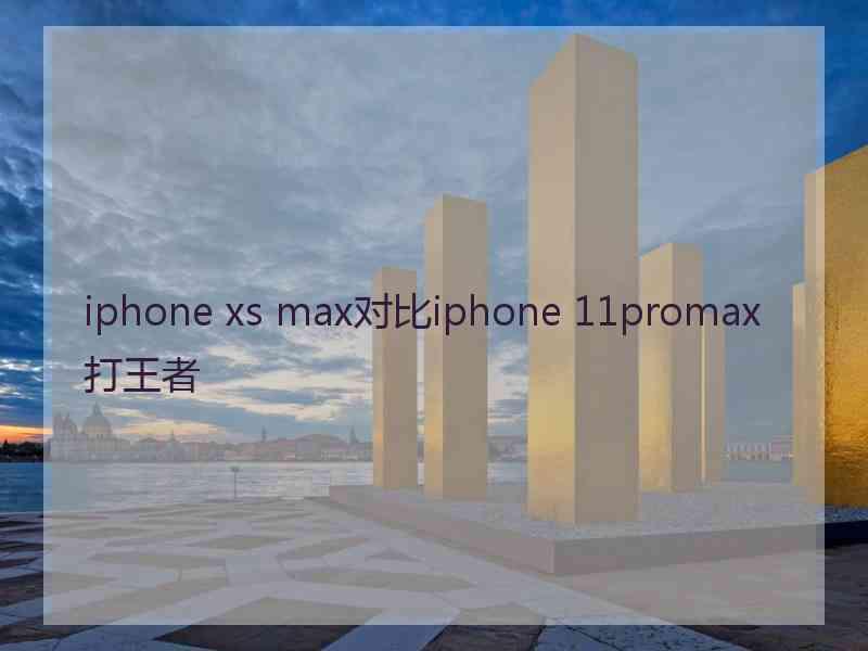 iphone xs max对比iphone 11promax打王者