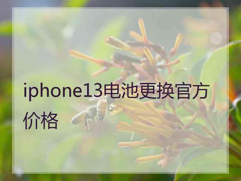 iphone13电池更换官方价格