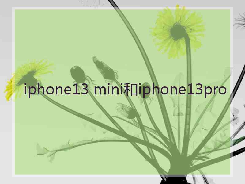 iphone13 mini和iphone13pro