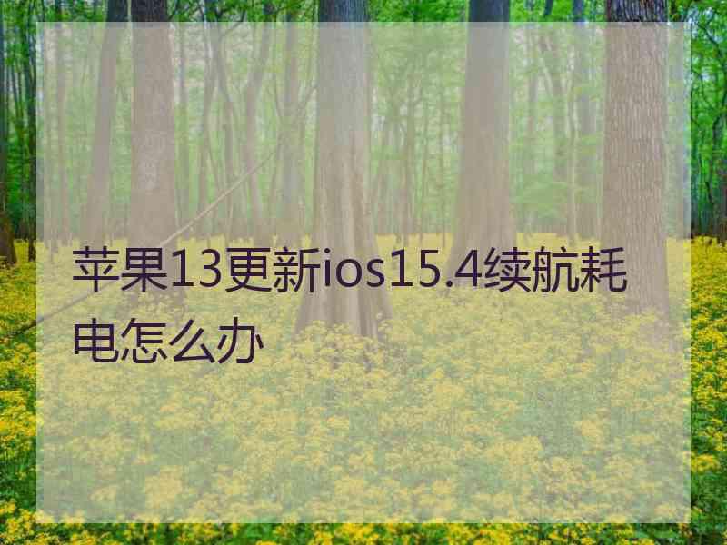 苹果13更新ios15.4续航耗电怎么办