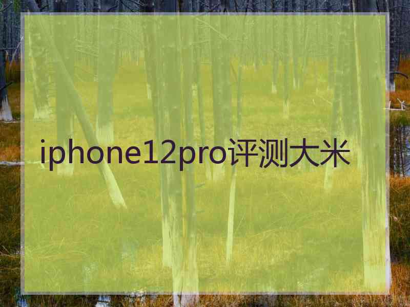 iphone12pro评测大米