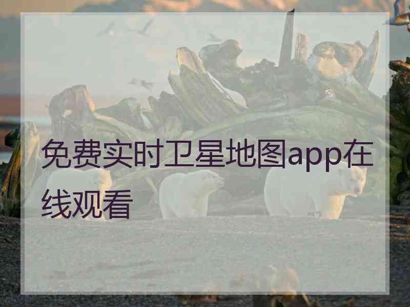 免费实时卫星地图app在线观看