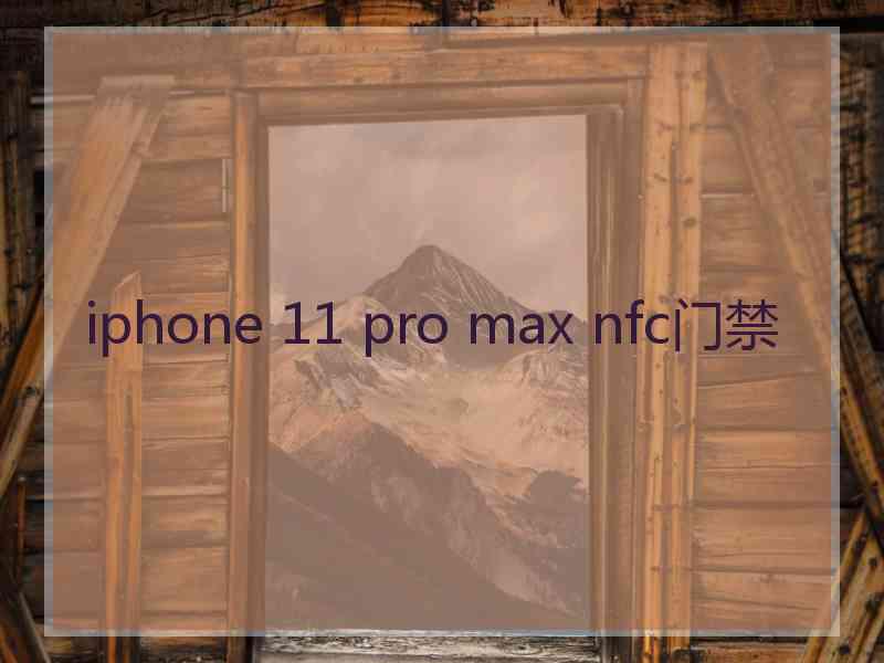 iphone 11 pro max nfc门禁