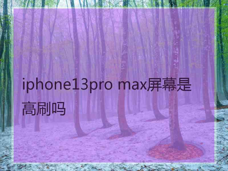 iphone13pro max屏幕是高刷吗