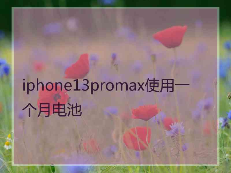 iphone13promax使用一个月电池