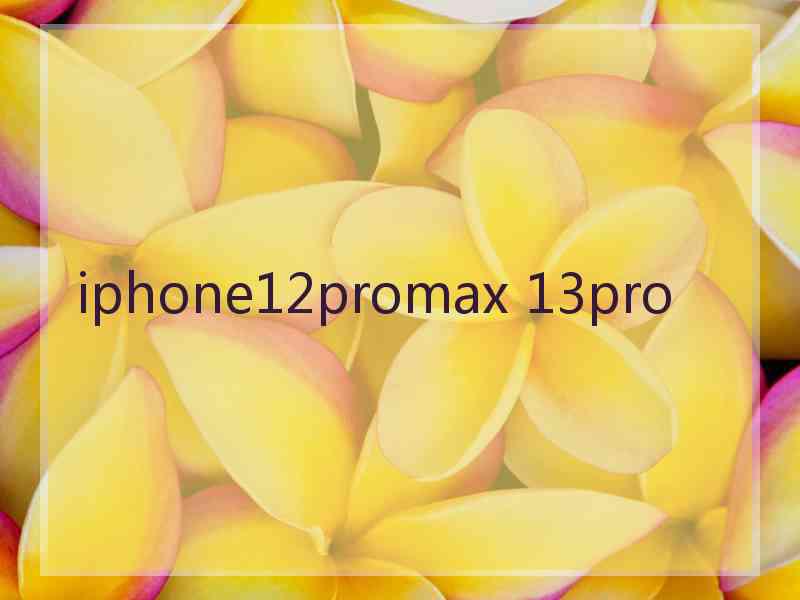 iphone12promax 13pro