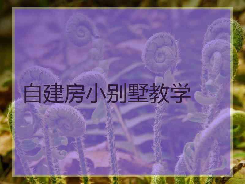 自建房小别墅教学