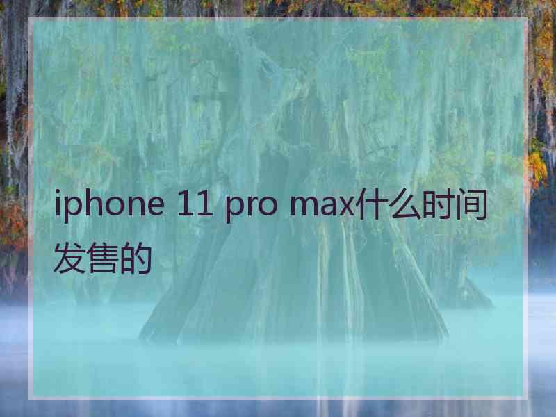 iphone 11 pro max什么时间发售的