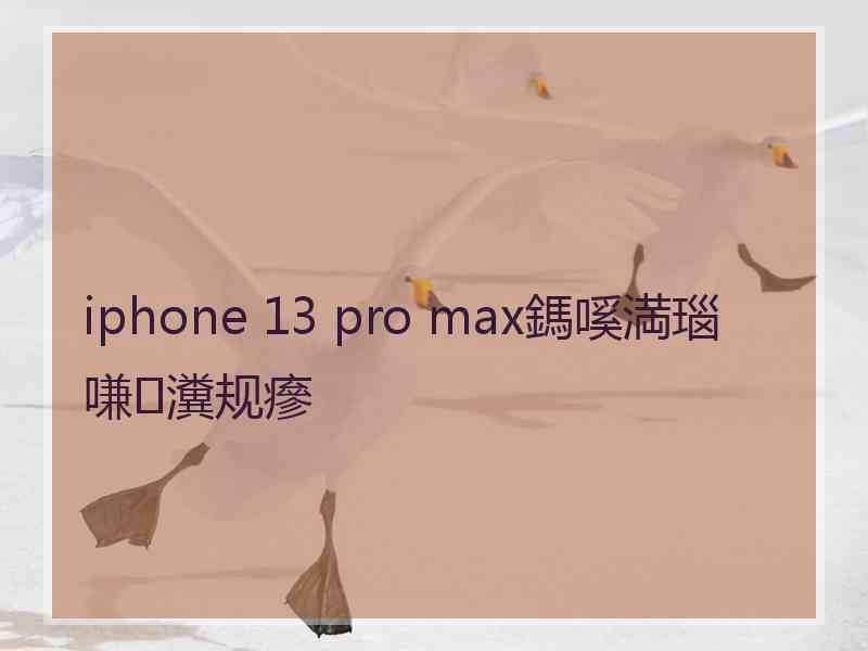 iphone 13 pro max鎷嗘満瑙嗛瀵规瘮