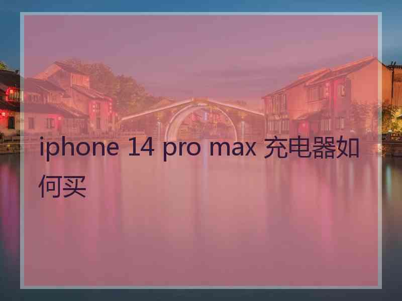 iphone 14 pro max 充电器如何买