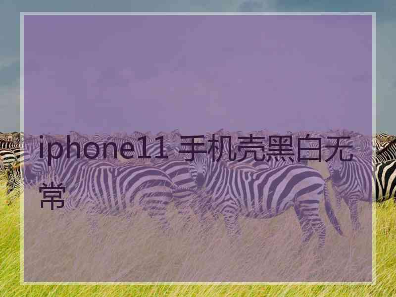 iphone11 手机壳黑白无常