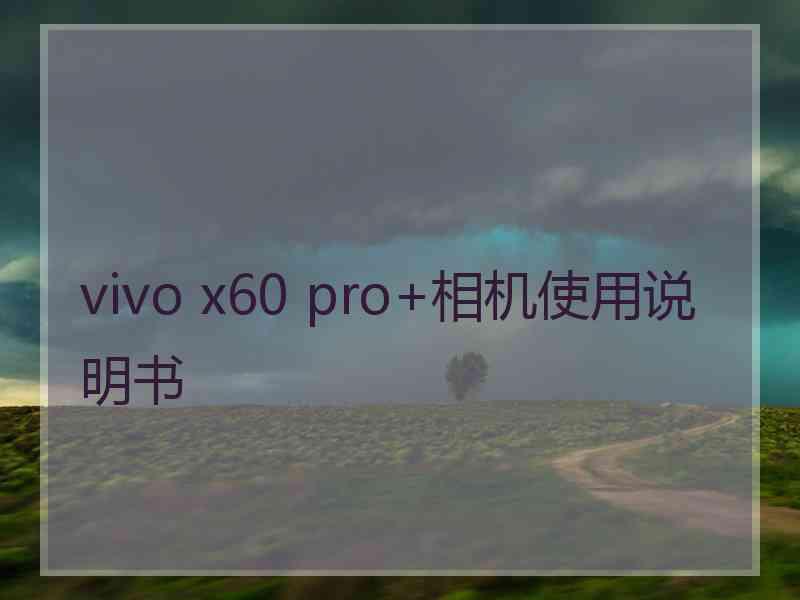 vivo x60 pro+相机使用说明书