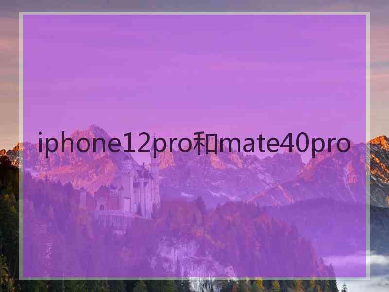 iphone12pro和mate40pro