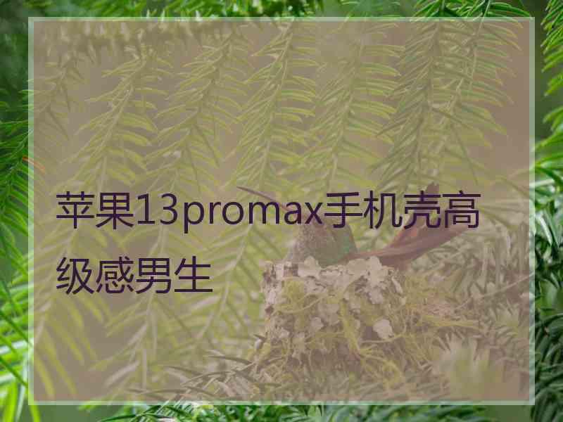 苹果13promax手机壳高级感男生