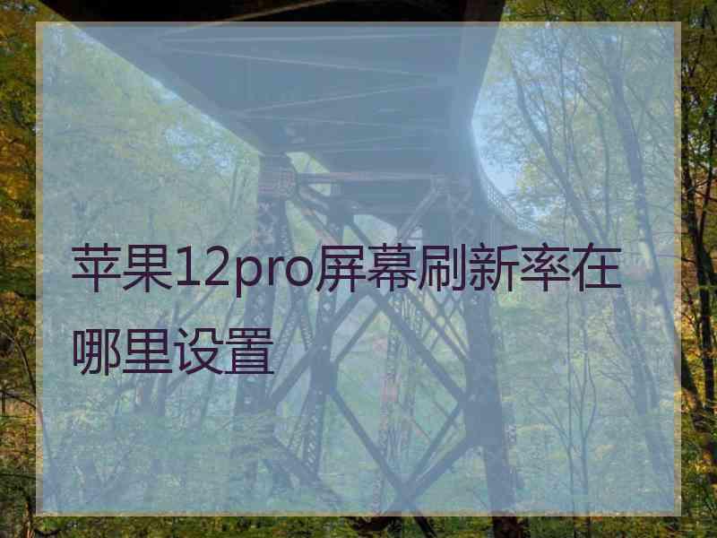 苹果12pro屏幕刷新率在哪里设置