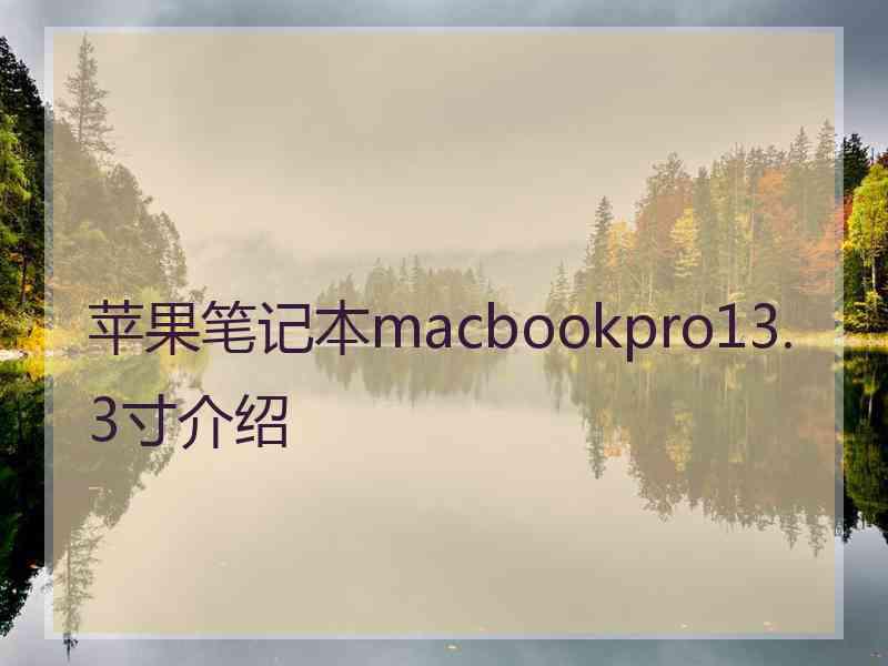 苹果笔记本macbookpro13.3寸介绍