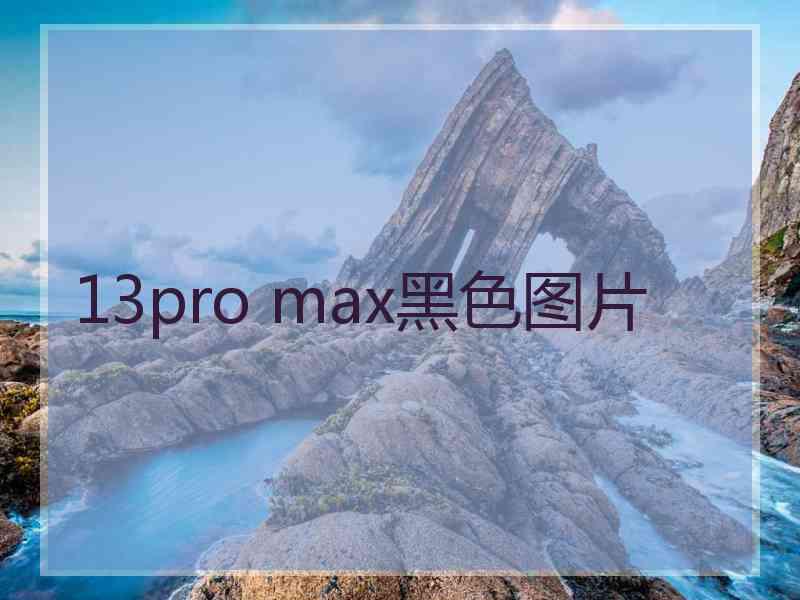 13pro max黑色图片