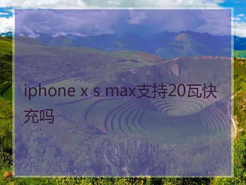 iphone x s max支持20瓦快充吗