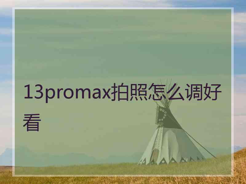 13promax拍照怎么调好看