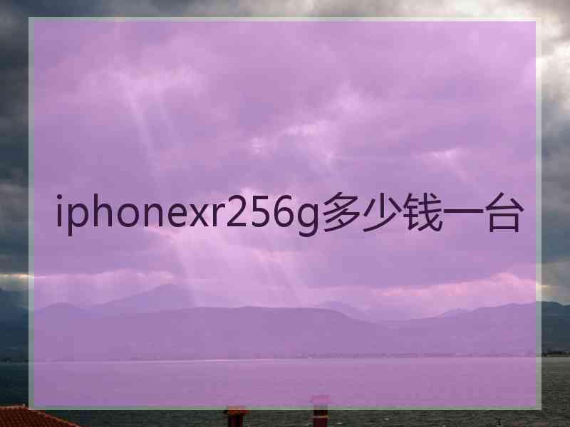 iphonexr256g多少钱一台