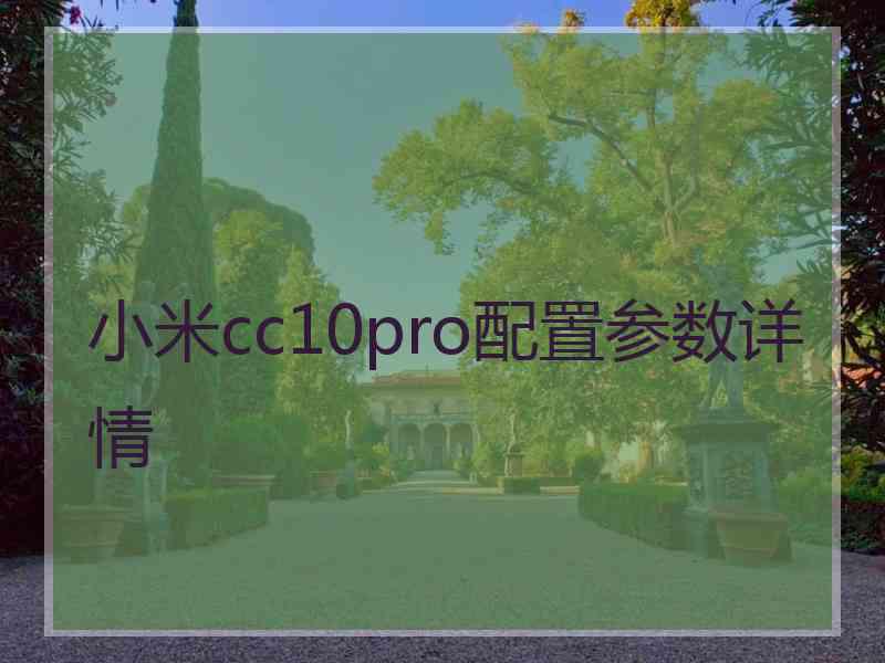 小米cc10pro配置参数详情