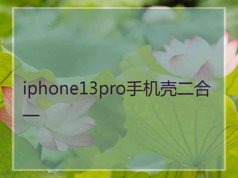 iphone13pro手机壳二合一