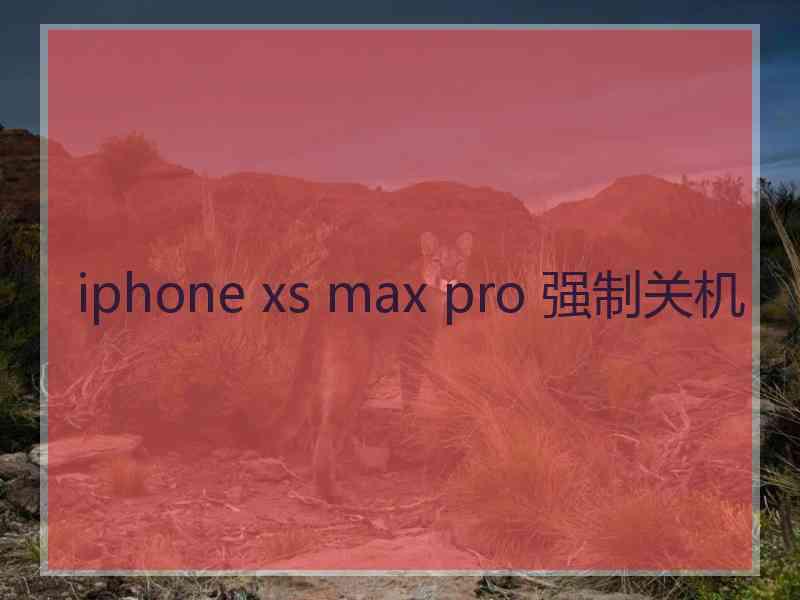 iphone xs max pro 强制关机