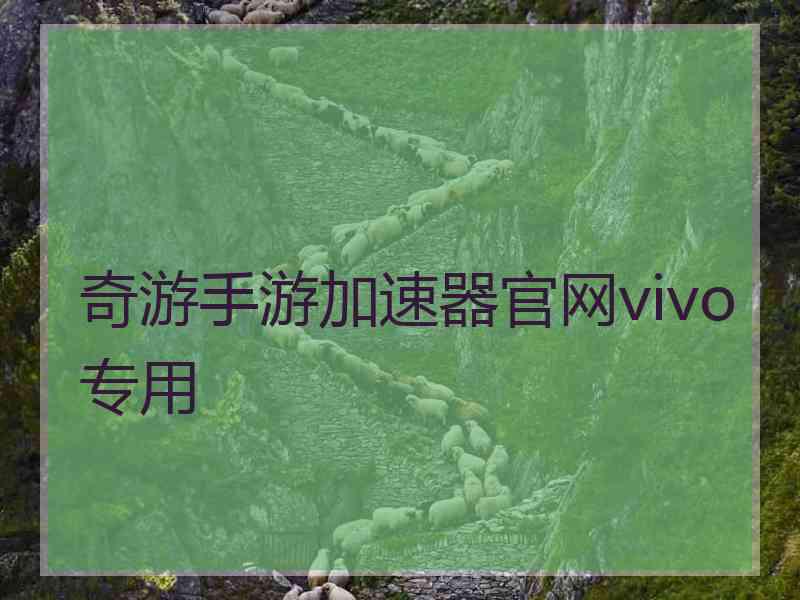 奇游手游加速器官网vivo专用