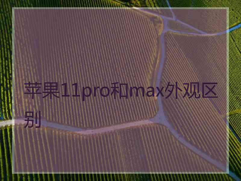 苹果11pro和max外观区别