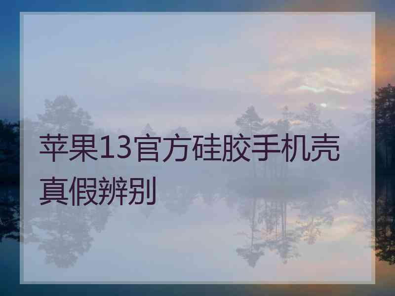 苹果13官方硅胶手机壳真假辨别