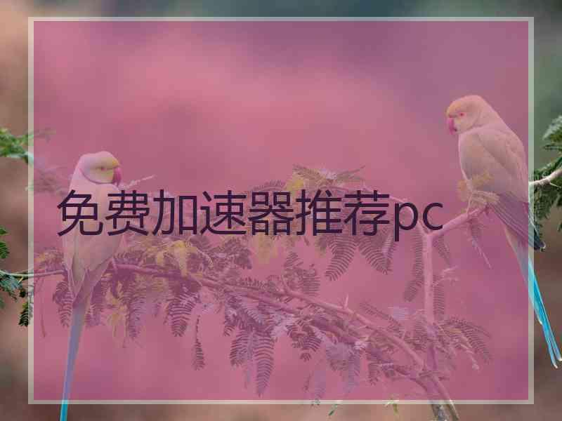 免费加速器推荐pc