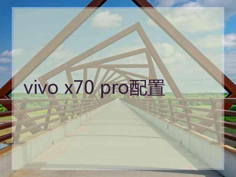 vivo x70 pro配置