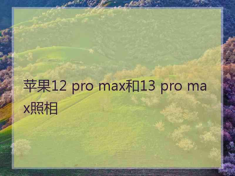 苹果12 pro max和13 pro max照相