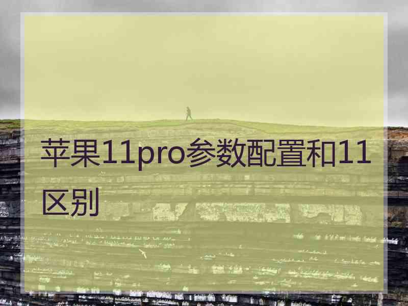 苹果11pro参数配置和11区别