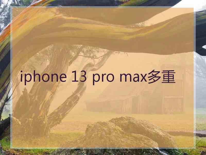 iphone 13 pro max多重