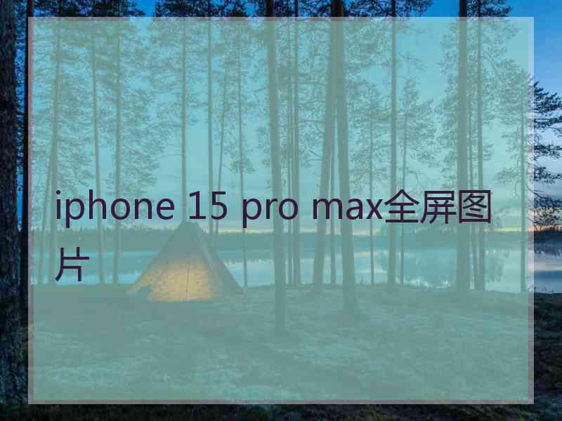 iphone 15 pro max全屏图片