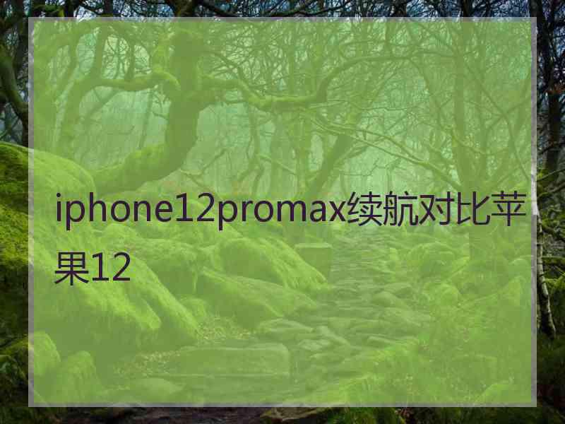 iphone12promax续航对比苹果12