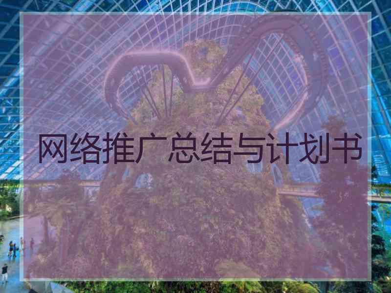 网络推广总结与计划书