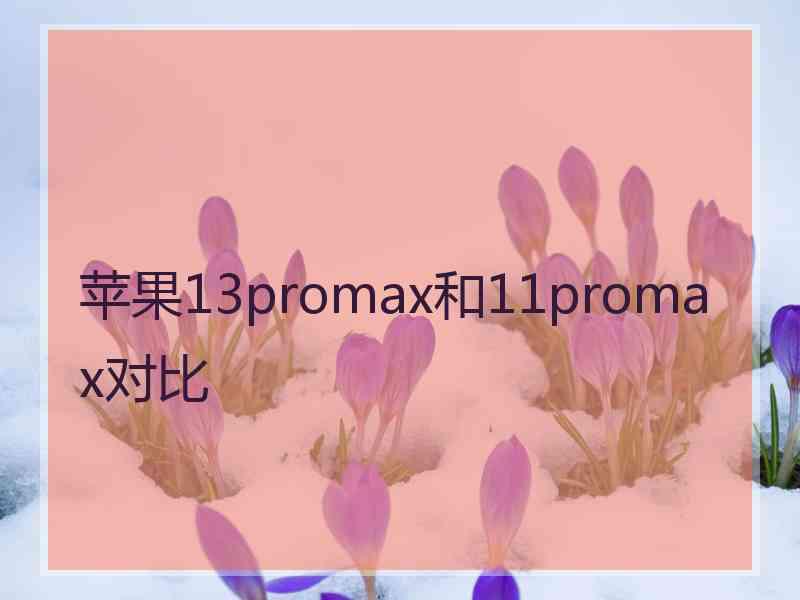 苹果13promax和11promax对比