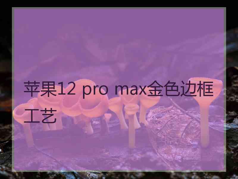 苹果12 pro max金色边框工艺