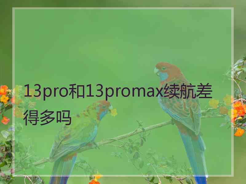 13pro和13promax续航差得多吗