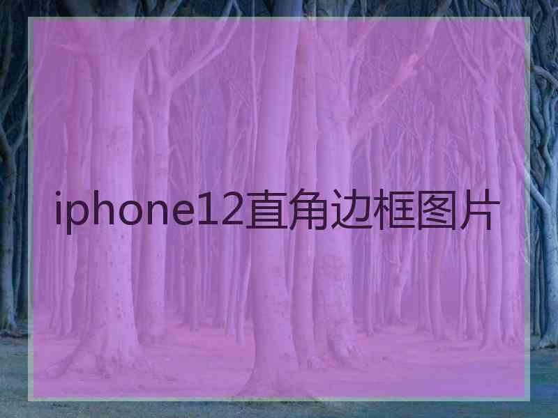 iphone12直角边框图片