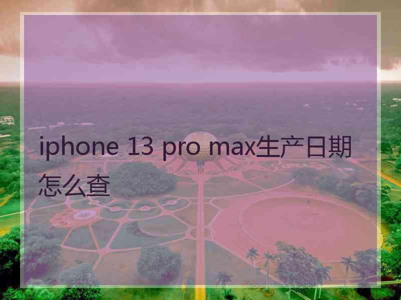 iphone 13 pro max生产日期怎么查