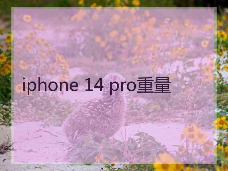 iphone 14 pro重量