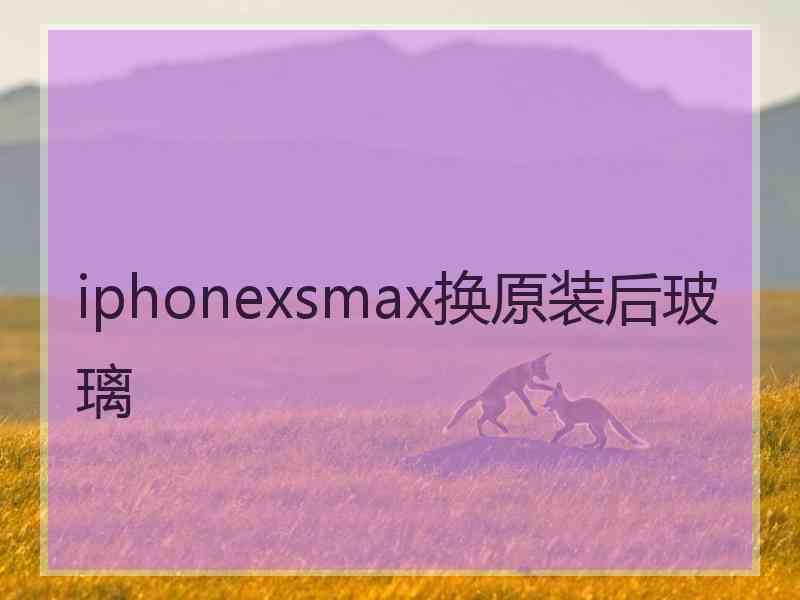 iphonexsmax换原装后玻璃