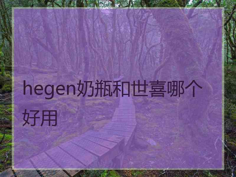 hegen奶瓶和世喜哪个好用