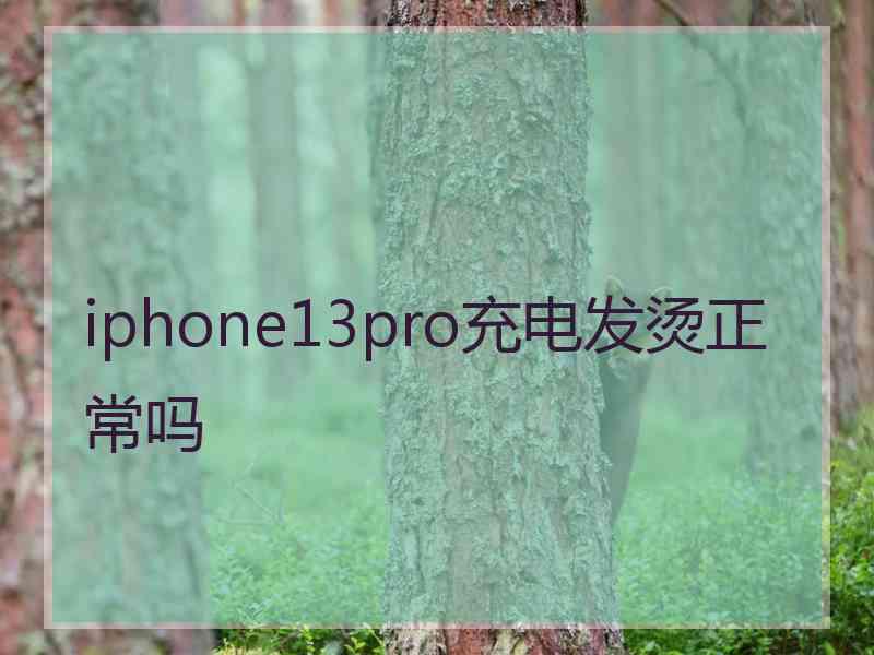 iphone13pro充电发烫正常吗