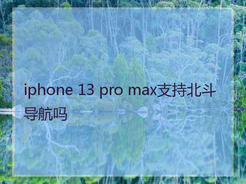 iphone 13 pro max支持北斗导航吗