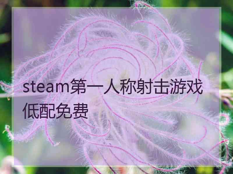 steam第一人称射击游戏低配免费