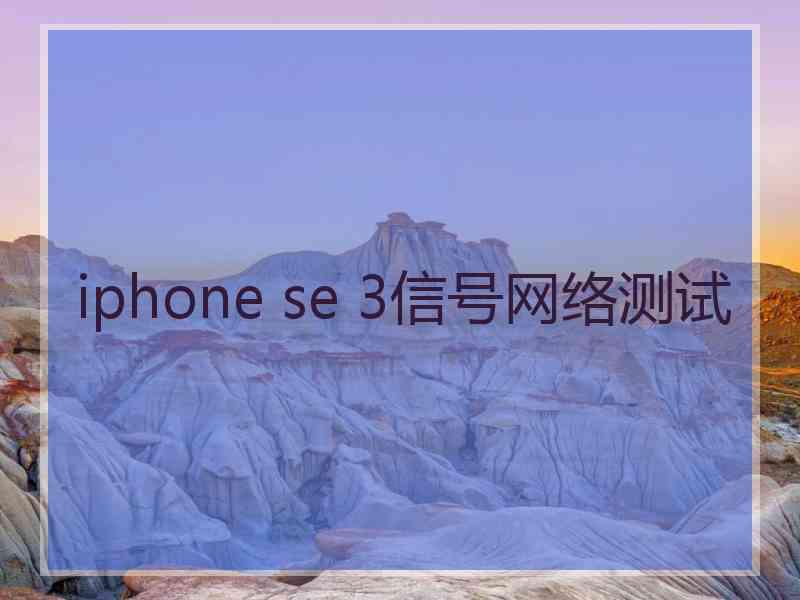 iphone se 3信号网络测试